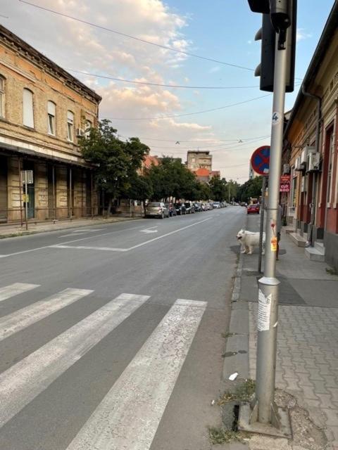 Ferienwohnung Apartman Maja Lux Pančevo Exterior foto